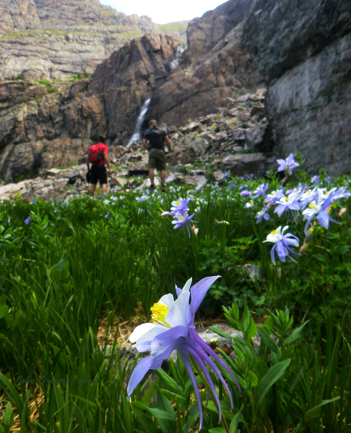Travelers to Willow Falls